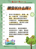 别让“草爬子”爬进你的夏天！防蜱虫指南请收好