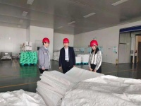 宠物狗怀孕，安全堕胎方法指南