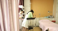 宠物爱尔兰梗分娩全过程剖析（从孕期到分娩，关注宠物健康）