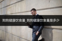 狗狗健康饮食量