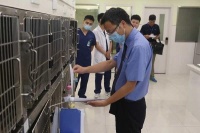 宠物诊疗机构隐患多，规范处理废弃物保公共卫生安全