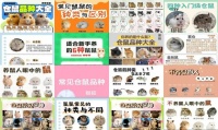 宠物仓鼠种类及特点