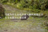 仓鼠为什么会吃同类？探究其背后的生存本能与心理因素