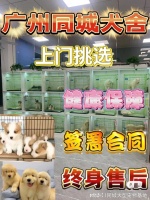 广州最大的宠物市场在哪里?这里安全可靠能挑选心仪的宠物哦