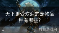 天下更受欢迎的宠物品种有哪些?