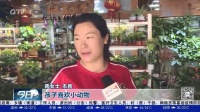 暑期宠物市场火爆,各种萌宠销售火爆,你最喜欢什么?