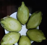 陆龟的饮食之水果篇（陆龟能吃哪些水果，有哪些需要注意的事项）