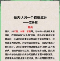 猫粮中添加马铃薯的利弊？马铃薯对猫健康有何影响？