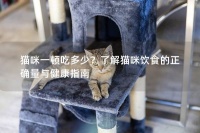 猫咪一顿吃多少?了解猫咪饮食的正确量与健康指南