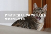 猫咪应该吃什么？了解猫咪饮食的最佳选择与注意事项