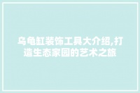 乌龟缸装饰工具大介绍,打造生态家园的艺术之旅
