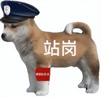 货拉拉可以带狗吗宠物一起拉吗（货拉拉宠物运输指南）