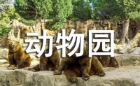游学——红山动物园300字作文(通用28篇)