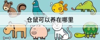 仓鼠可以养在哪里