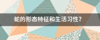 蛇的形态特征和生活习性？
