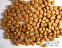 如何判断狗粮的好坏?