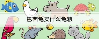 巴西龟买什么龟粮