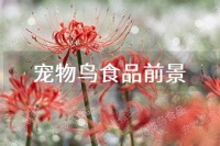 2025年宠物鸟食品发展前景 趋势预测