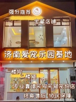 济南哪里有正规宠物基地 ？此处安全可靠且可实体店挑选选宠！