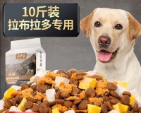 如何科学地为宠物换狗粮(2个月拉布拉多换狗粮的注意事项与方法)