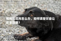 狗狗只吃肉怎么办,如何调整饮食让它更健康?