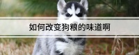 如何改变狗粮的味道啊