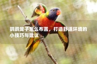 鹦鹉笼子怎么布置，打造舒适环境的小技巧与建议