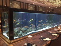 超白鱼缸哪家好 贴心服务「云南鲸悦水族恒盈鱼缸供应」