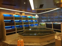 五华区饭店海鲜池定制 推荐咨询 云南鲸悦水族恒盈鱼缸供应