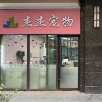 上海黄浦杰杰宠物