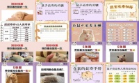 仓鼠寿命是几年