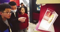 打破恐惧与误解,揭开蛇类神秘面纱