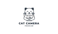 小猫或小猫或小猫或宠物与相机可爱图片