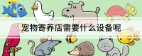 宠物寄养店需要什么设备呢