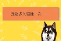 宠物驱虫多久一次:宠物狗多久驱虫一次