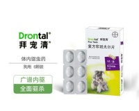 两个月泰迪驱虫,你需要知道的重要事项(选择合适的驱虫产品,确保宠物健康)