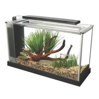 Fluval 立方体水族箱和鱼缸