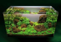 家庭养龟都需要哪些器材