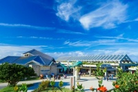 冲绳美丽海水族馆|目的地|【官方】日本国家旅游局(JNTO)