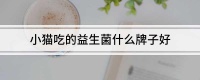小猫吃的益生菌什么牌子好