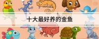 金钱龟怎么养才好