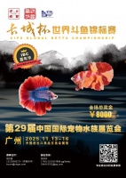 全球斗鱼迷集结!“长城杯”世界斗鱼锦标赛暨 IBC全球嘉年华报名开启!