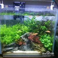 斗鱼缸制作视频教程大全图解斗鱼缸制作视频教程大全图解