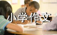 小宠物小学作文(汇编15篇)