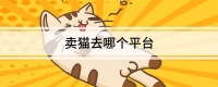 卖猫去哪个平台