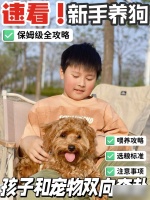 廖教练：新手养狗！速看保姆级全攻略

养一只狗狗不仅是家庭的一份欢乐，更是孩子们成长过程中的得力伙伴。对于新手来说，准备工作尤为重要。今天分享下新手必看的保姆级全攻略！

.

喂养攻略

要根据狗狗的品种和年龄确定合适的饮食。幼犬一般需要吃营养丰富的幼犬粮，成犬则需要成犬粮。记得每天定时喂食，水也要随时保持清洁新鲜。

.

选粮标准

选择狗粮时，要注意查看包装上的营养成分和原料。优质的狗粮应...