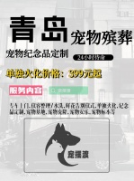 青岛宠物殡仪馆：如何让告别更具个性化服务