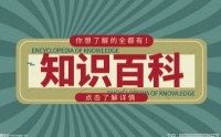 你知道荷兰猪吃什么食物吗？荷兰猪喜欢吃什么东西？
