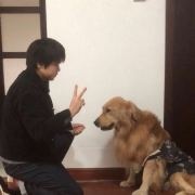 #萌宠[超话]# 导...