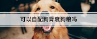 可以自配狗肾衰狗粮吗